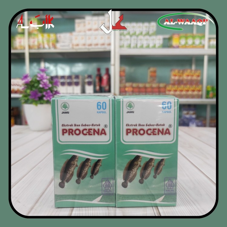 Procena JN 60Kps